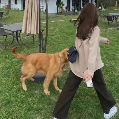 黑袍拉比